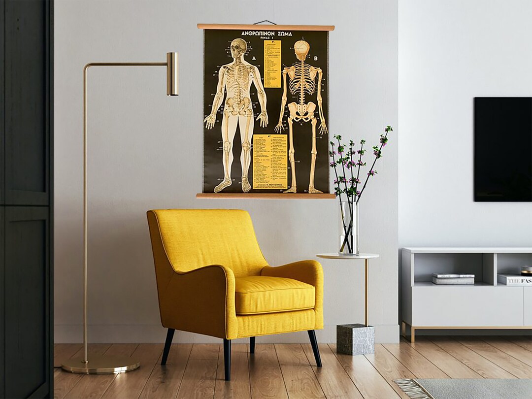 Vintage Human Skeleton Anatomy Chart: Greek Medical School Poster - Etsy