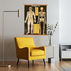 Può includere: Un'illustrazione anatomica vintage dello scheletro umano, che presenta una vista anteriore e posteriore del sistema scheletrico. L'illustrazione è stampata su carta nera con testo e illustrazioni gialle. L'illustrazione è appesa a una parete in un soggiorno moderno.