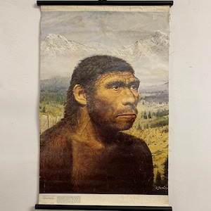 May include: A vintage educational poster showing a Neanderthal man against a backdrop of mountains and trees. The illustration features a detailed portrait of the hominid with dark hair and a serious expression. The poster is mounted with black rods.
