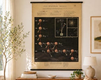 1954 Atomic Theory School Chart, Vintage Science Wall Decor