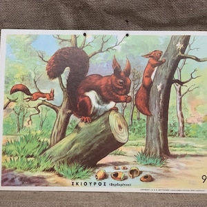 Impresión escolar Ardillas N.O.S Gráfico escolar original de cartón Vintage Gráfico de pared con impresión de cartón Decoración de la habitación de los niños Impresión escolar.