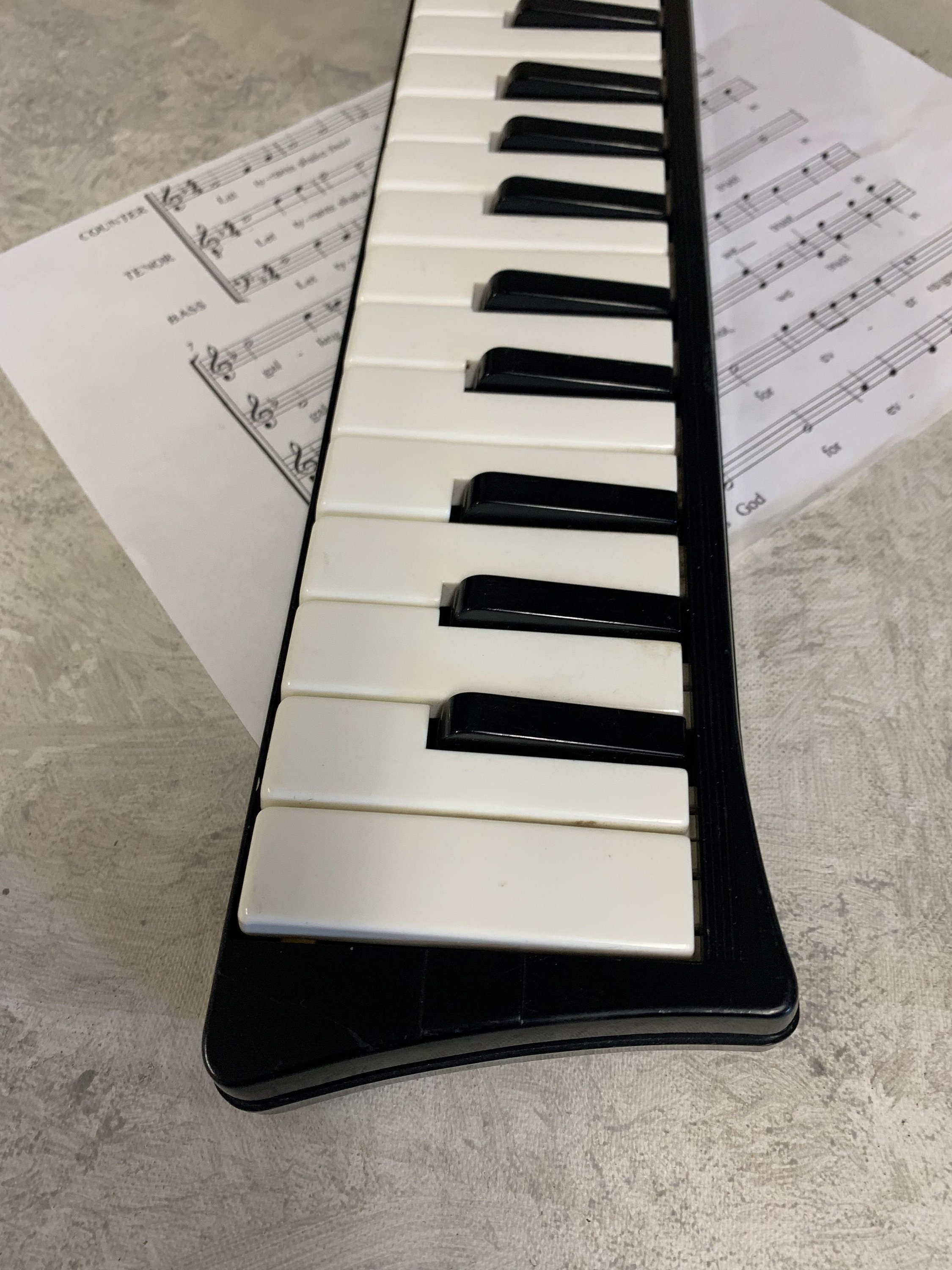 Hohner Melodica piano26・27 il_340x270.5947367309_579g.jpg