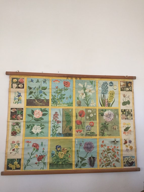 Flower Chart For School