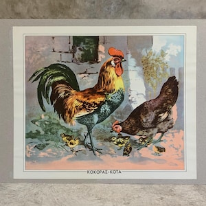 Lámina escolar vintage de gallina, gallo y polluelos N.O.S., cuadro escolar de cartón original, lámina de cartón vintage, cuadro de pared, decoración de habitación infantil