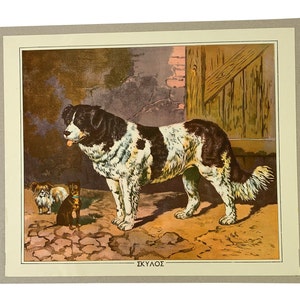 Cuadro escolar de perros, Cuadro escolar original de cartón, Cuadro de cartón vintage, Cuadro de pared, Decoración de habitación infantil, Mapa de tapiz de pared, Decoración del hogar