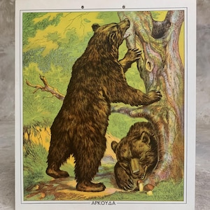 Lámina escolar de osos NOS, Lámina escolar original de cartón, Lámina de cartón vintage, Lámina de pared, Decoración de habitación infantil, Decoración del hogar