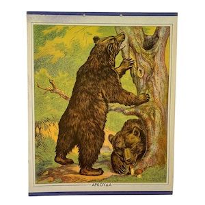Impresión de la escuela de osos NOS, Gráfico escolar de cartón original, Impresión de cartón vintage, gráfico de pared, Decoración de la habitación de los niños, Decoración del hogar