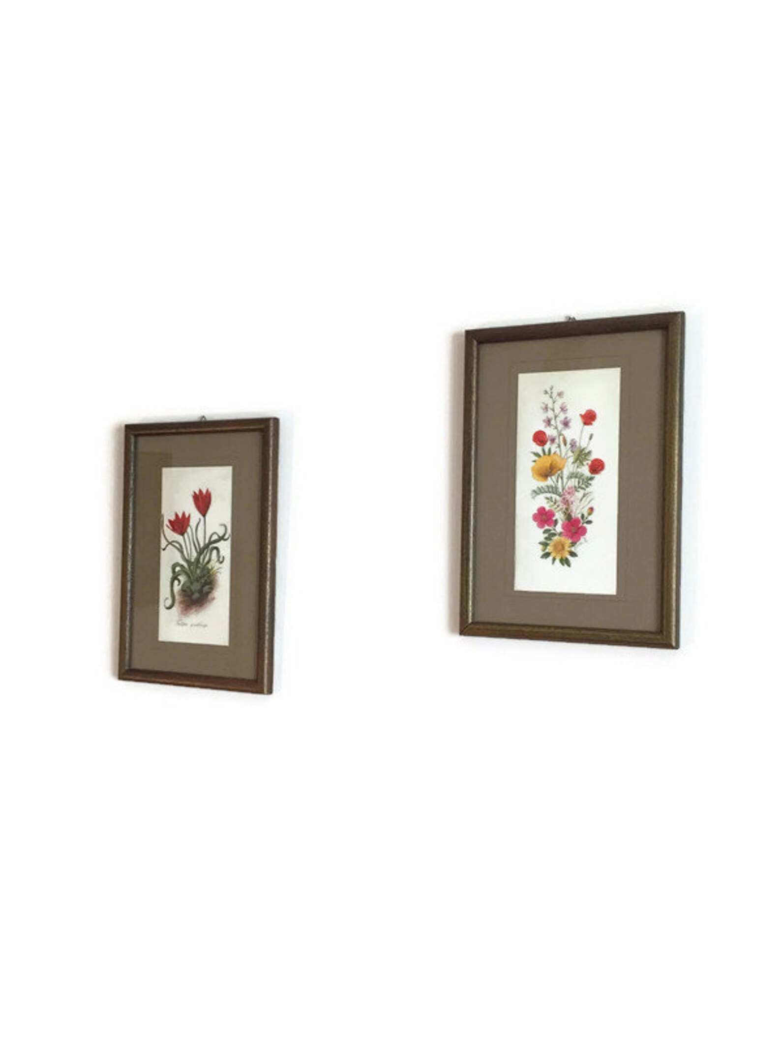 Set of Two Floral Wall Decor Framed Floral Prints Vintage Etsy