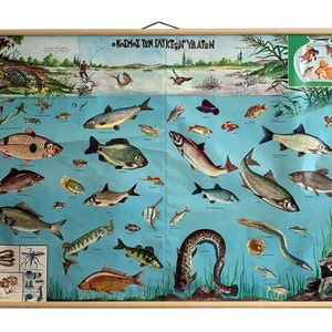 Tabella vintage dei pesci d'acqua dolce, poster dei pesci d'acqua dolce, mappa dei pesci a scomparsa, tabella dei banchi di pesci, litografia a scomparsa, decorazione da parete.