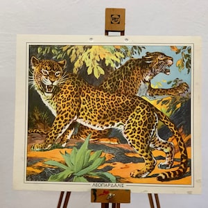 Impresión escolar de leopardos N.O.S Gráfico escolar de cartón original Gráfico de pared con impresión de cartón vintage Decoración de la habitación para niños Gráfico escolar