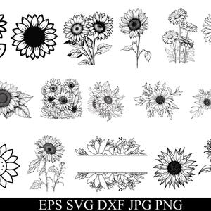 Op de afbeelding: Een verzameling zwart-wit zonnebloem illustraties in verschillende stijlen. De afbeelding bevat gedetailleerde tekeningen van zonnebloemen, sommige met stelen en bladeren, andere in omtrek. De onderkant van de afbeelding toont de tekst "EPS SVG DXF JPG PNG".