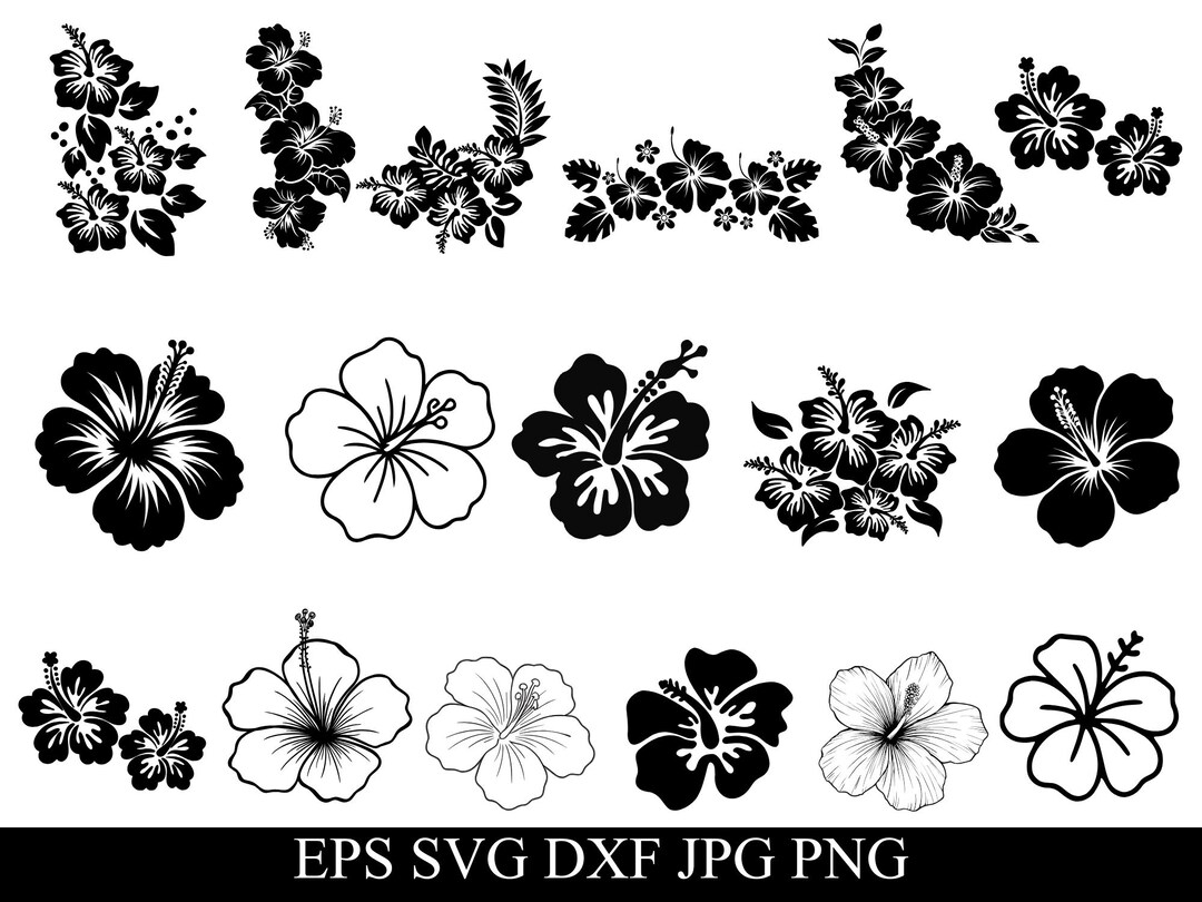 Hibiscus Flowers Svg Bundle, Hibiscus Png, Tropical Floral Clipart ...