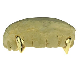 May include: Gold-plated vampire teeth grill, a popular accessory for hip-hop culture and fashion.