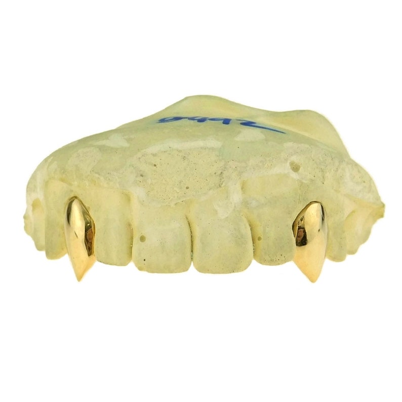 May include: A set of gold-plated teeth with two pointed fangs. The teeth are mounted on a plaster mold.