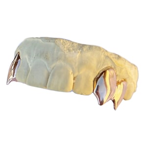 Rose Gold Plated over 925 Sterling Silver Custom Fang Grillz Set Double Fangs Caps Canine Vampire Teeth Optional Back Bar Bridge