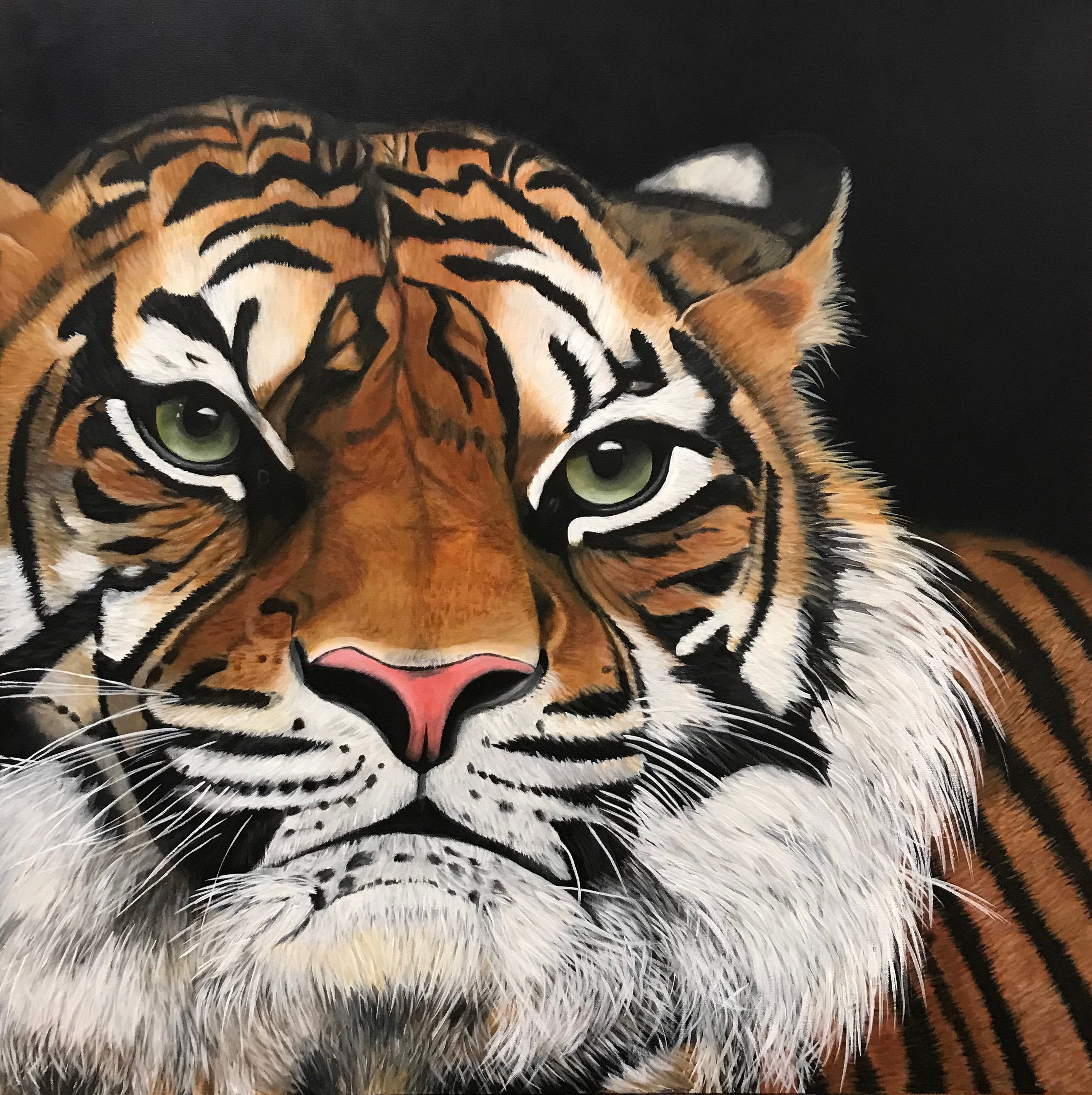 Tiger Print Animal Art Tiger Home Decor Nature Art Room Etsy