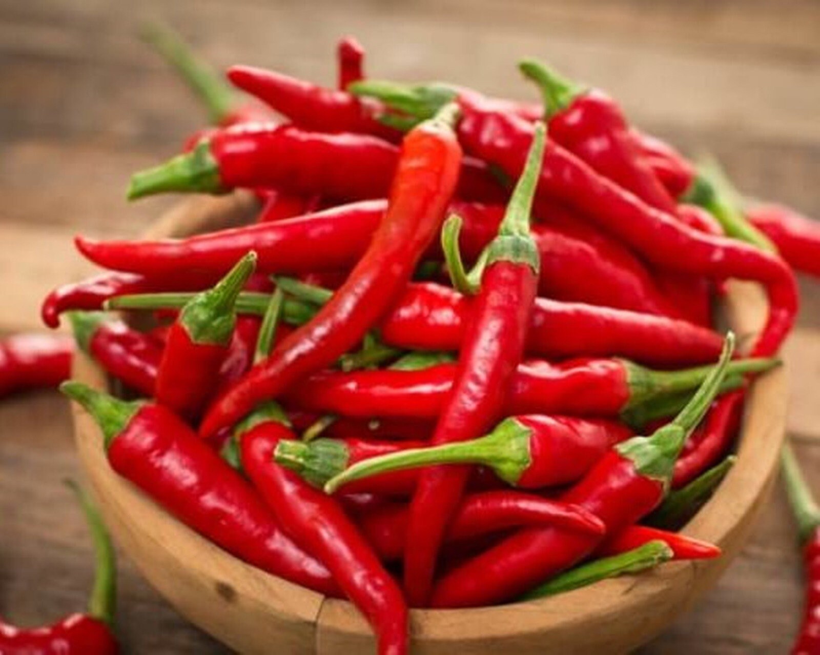 Chili Pepper Espanola Heirloom Seeds NON GMO for Planting / Etsy