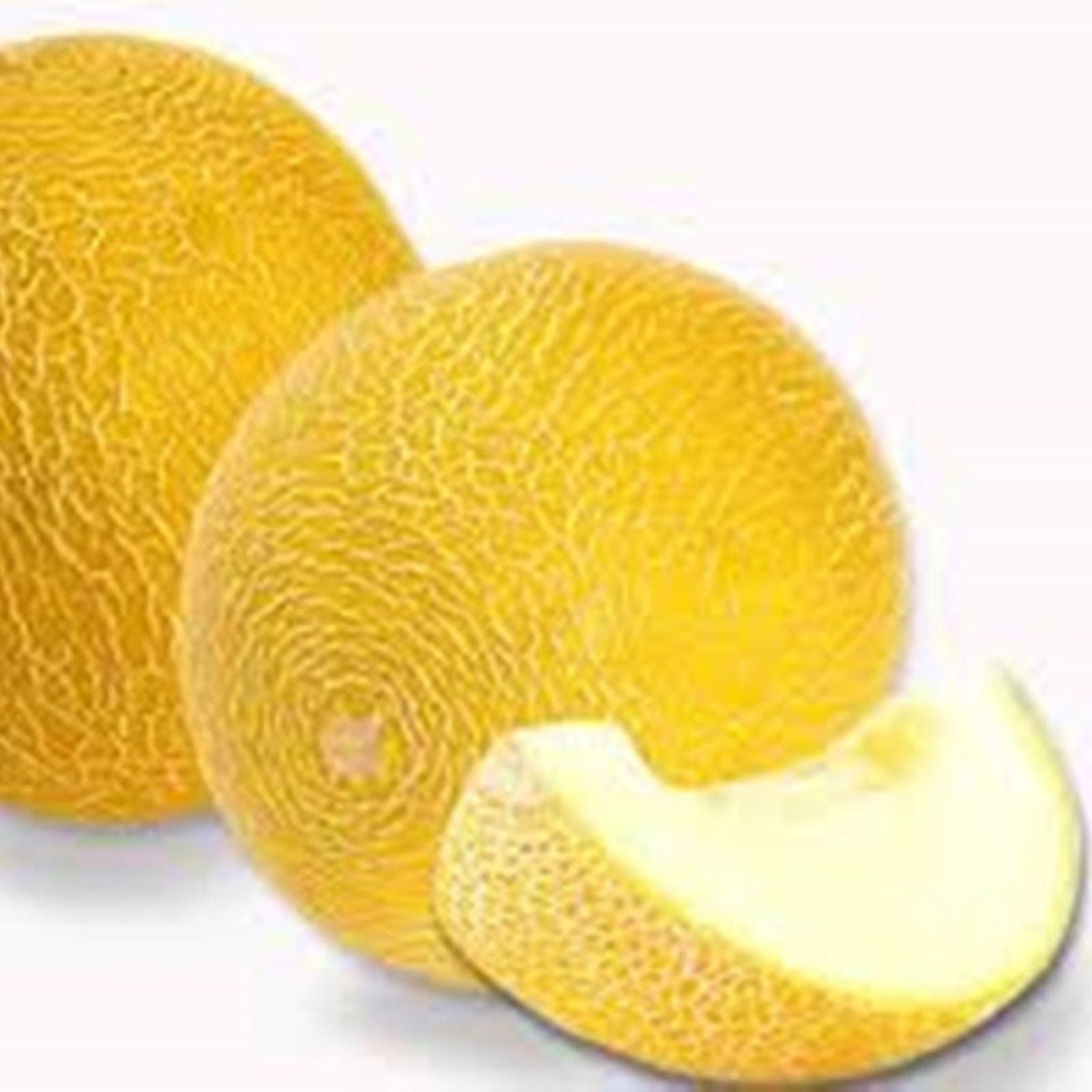 Melon Collective Farmers Wife Heirloom Seeds NON GMO for | Etsy