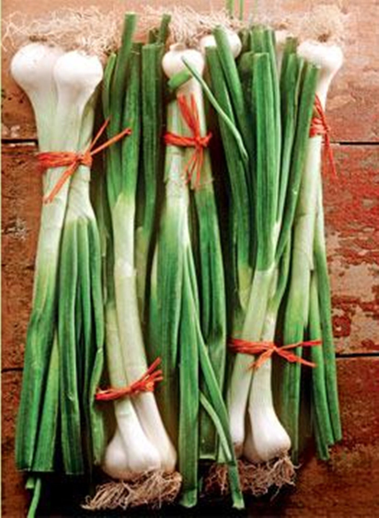 Welsh Onions Uelskiy Heirloom Seeds NON GMO for Planting Etsy