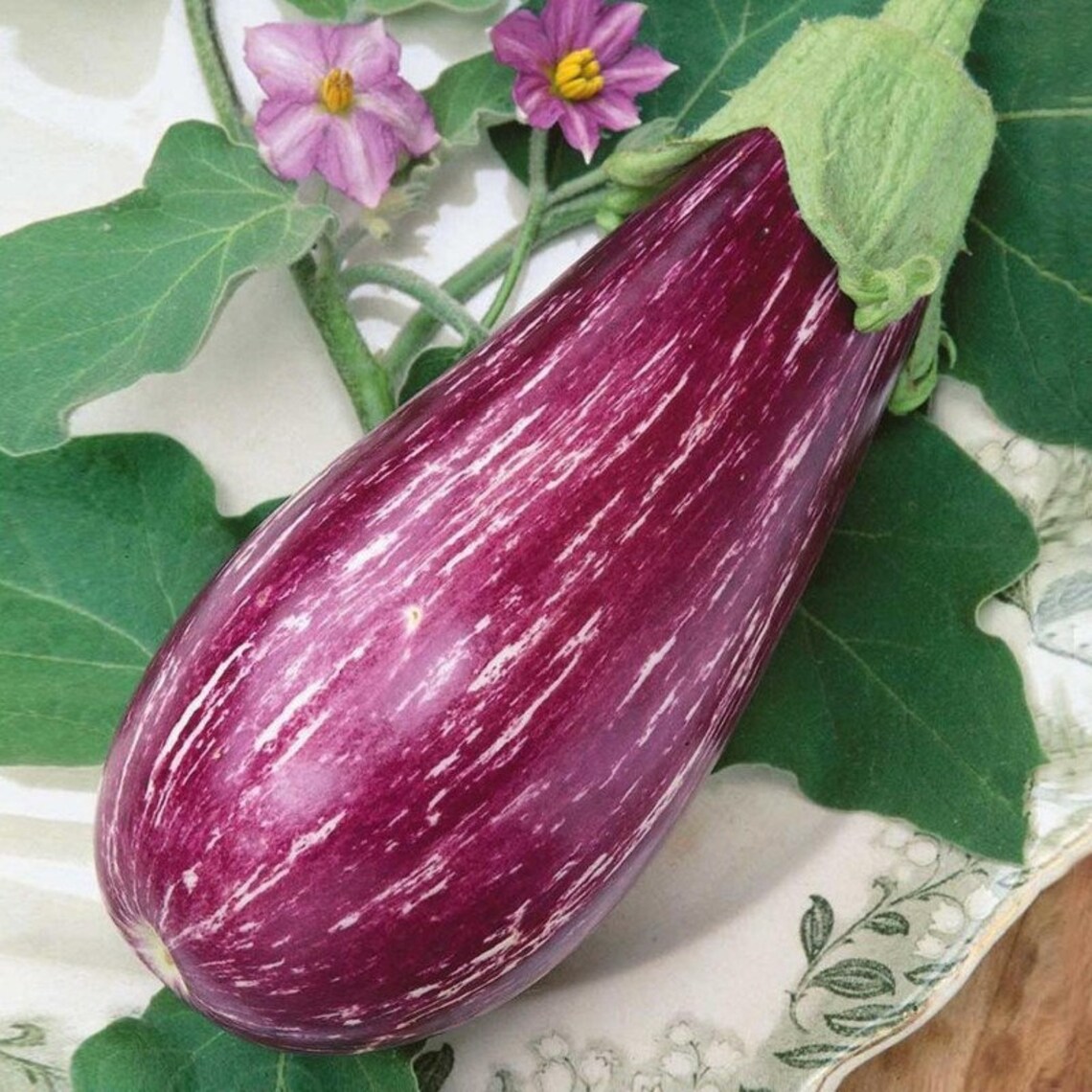 Eggplant Aubergine Matrosik Heirloom Seeds NON GMO for Etsy