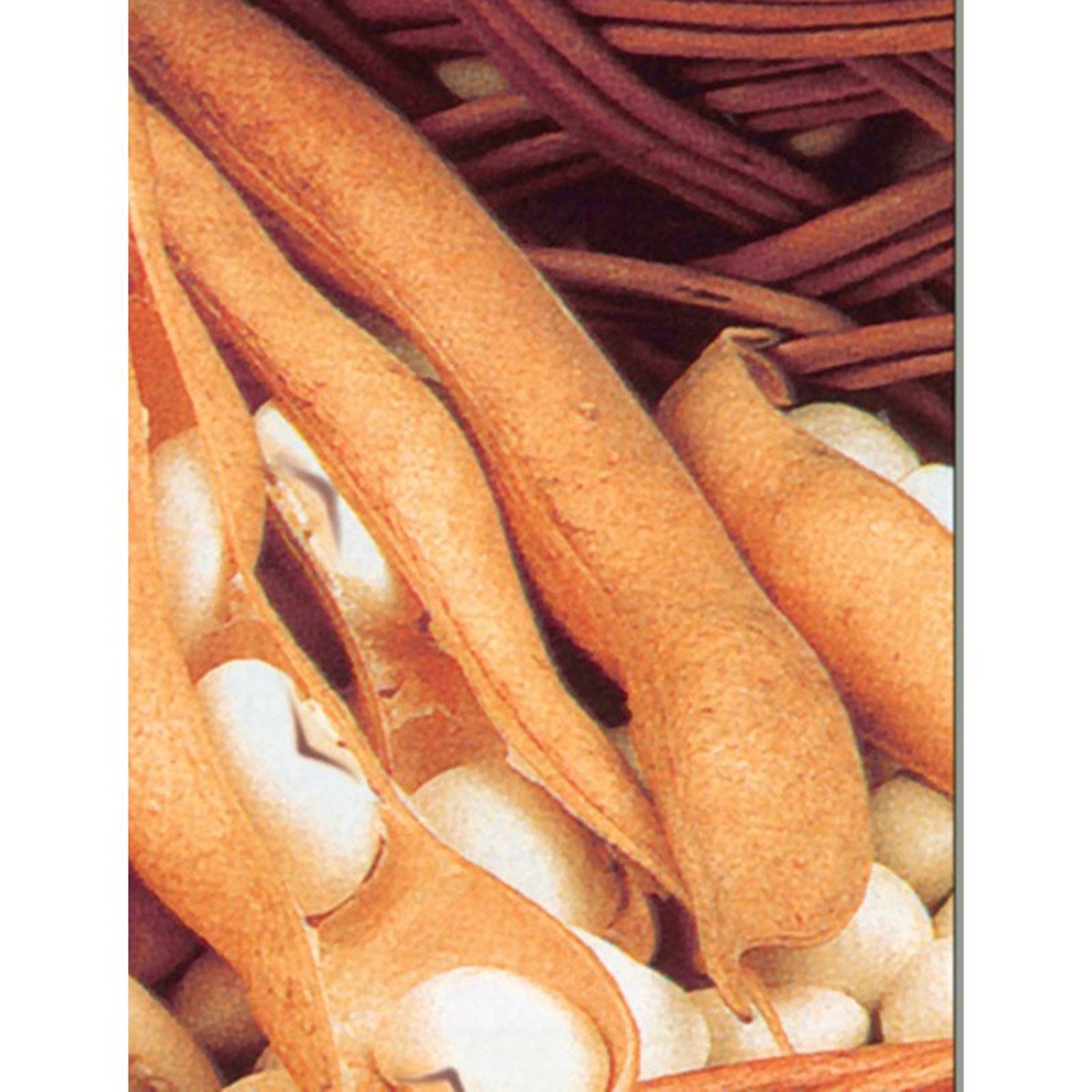 Семена Фасоль Блюхильда Купить