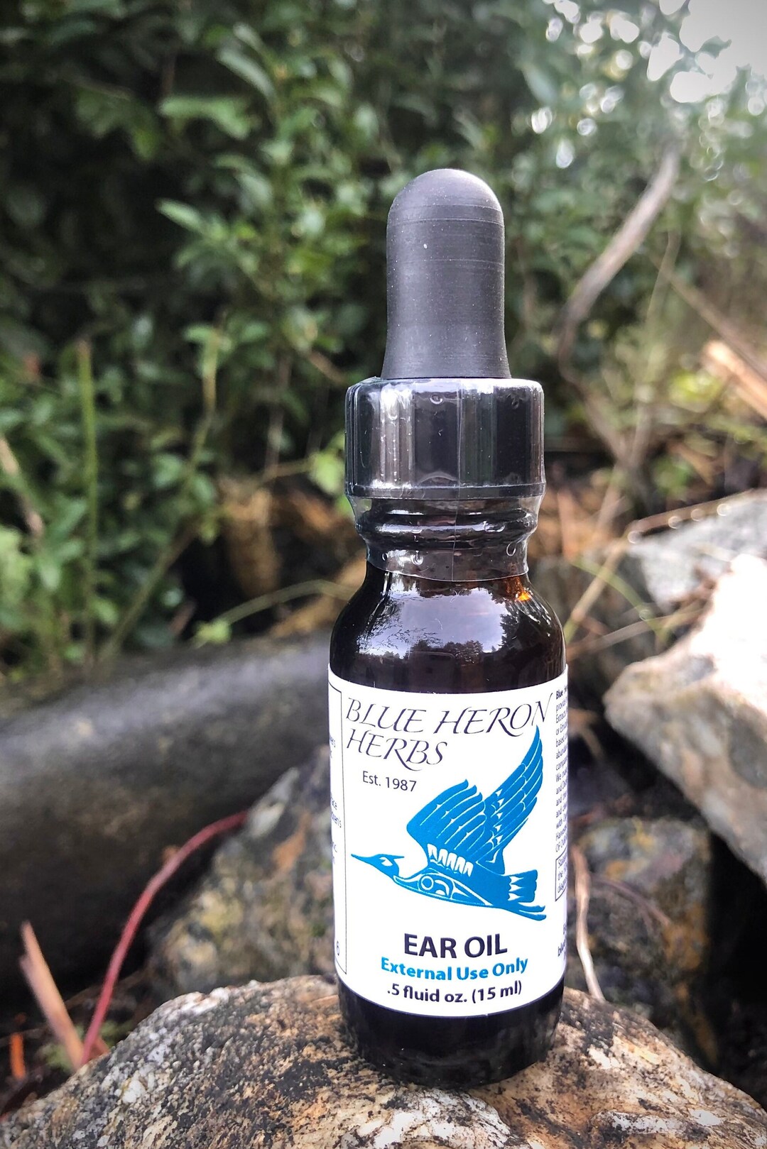 Mullein Garlic Ear Oil Etsy