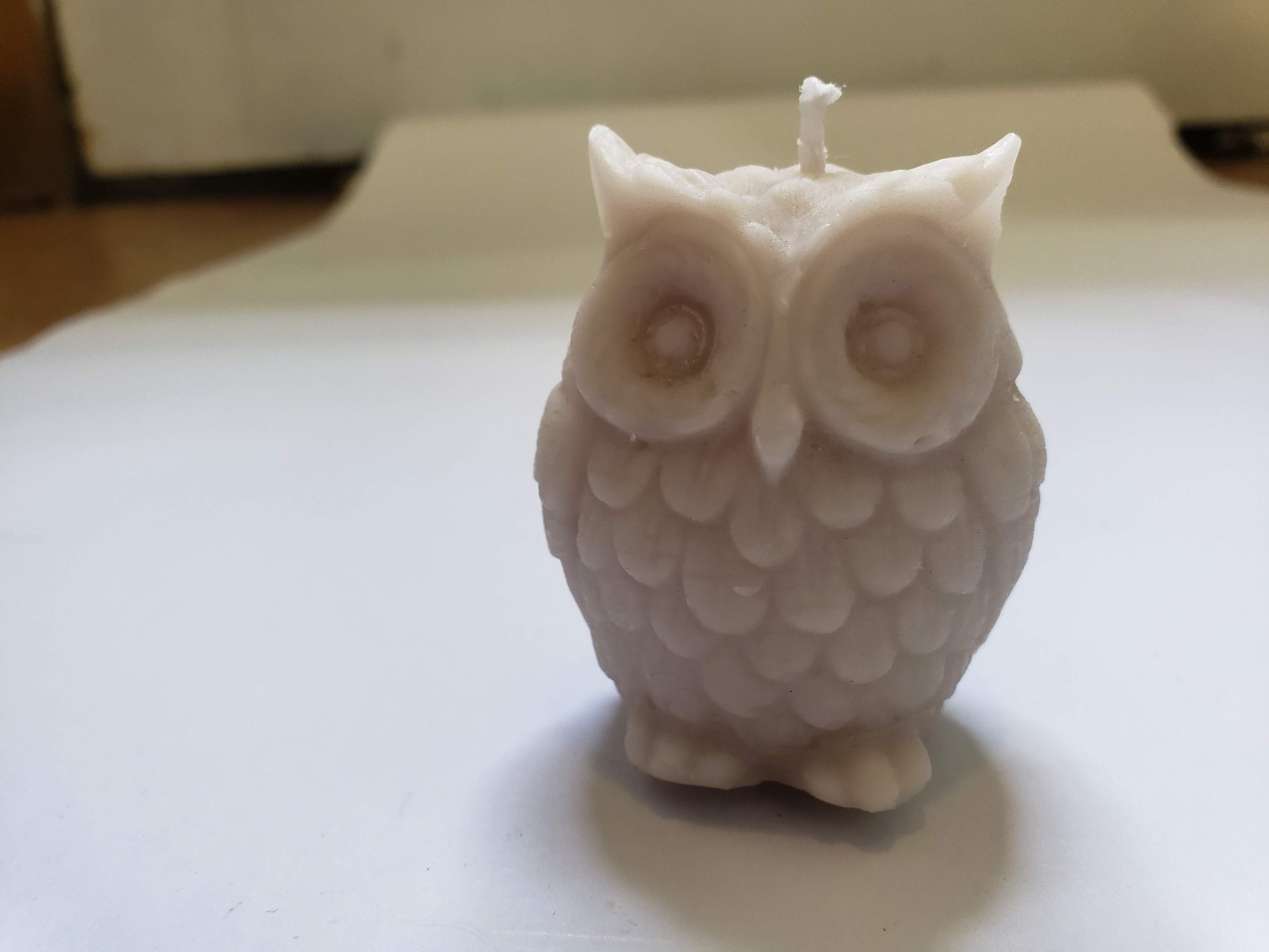 Little Owl Candle Sampler Set of 4 Scented Candles Choose Etsy