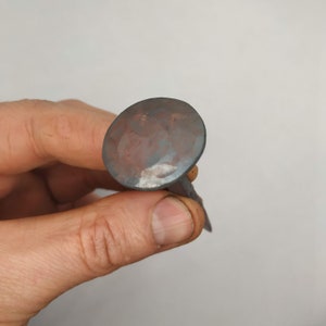 Op de afbeelding: Een close-up van een roestige, ronde spijker met een platte kop. De spijker wordt in een hand gehouden.