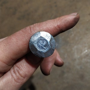 Può includere: Primo piano di una testa di chiodo in metallo argentato con un design di uccello stilizzato.
