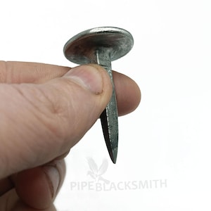 Hand Forged Stainless Steel Nails with Head 30mm