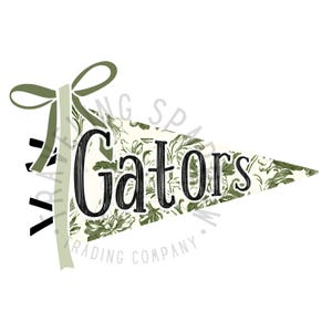 Custom Gators, Spirit Pennants PNG, Chinoiserie Design, Toile PNG, Sublimation Design, Homecoming PNG, Pennants Png, School Spirit png