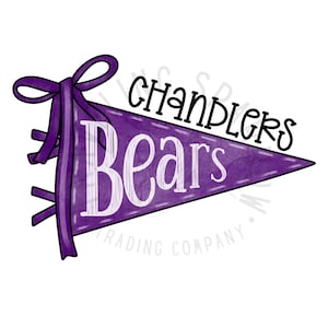 Custom Cougars, Spirit Pennants PNG, Sublimation Design, Homecoming PNG, Pennants Png, School Spirit png, Digital Design