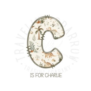 Nom de bébé personnalisé PNG | Body bébé | Cadeau personnalisé pour baby shower | Lettre dinosaure | Lettre personnalisée disponible| Chemise personnalisée pour enfants