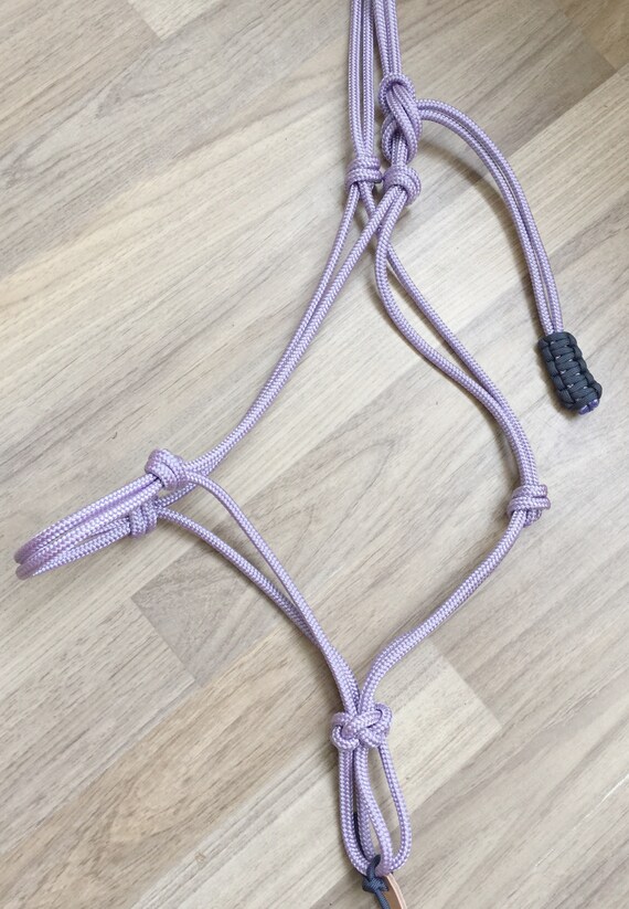 Rope halter Basic with Fiador knot Etsy