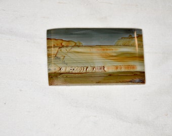 Owyhee Picture Jasper Cabochon: Scenic Stone for Belt Buckle or Pendant (50mm X 30mm)