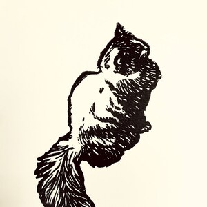 Cat print 'Patience' – Original handmade B&W linocut limited edition print of a ragdoll cat. Printed, signed and numbered by the artist.