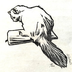 Kitten on Book II – Original handmade B&W linocut limited edition print of a beautiful kitten. Printed, signed and numbered by the artist.