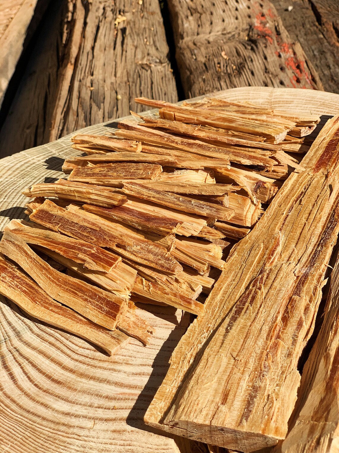 Ponderosa pine fatwood/25oz bundle/ greatest value Etsy
