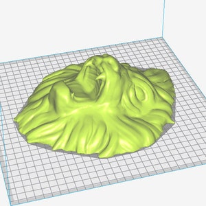 May include: A 3D-rendered, light green lion's head with an open mouth, showcasing detailed fur and facial features. The sculpture is set against a grid background, highlighting its form and texture. The lion's head is a decorative item.