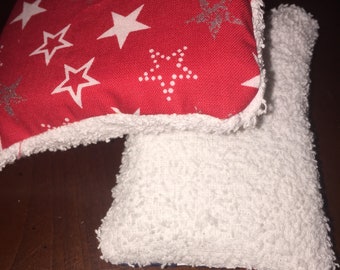 Re-Usable Spong - 4th of July - Reduce Recycle Recycle - Upcycled