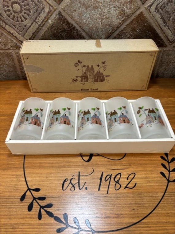 RARE Vintage Set of Five (5) Heartland Sasaki Glass Japan Frosted Tumblers IOB