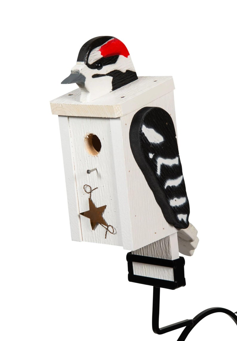 Downy Woodpecker Birdhouse | Etsy