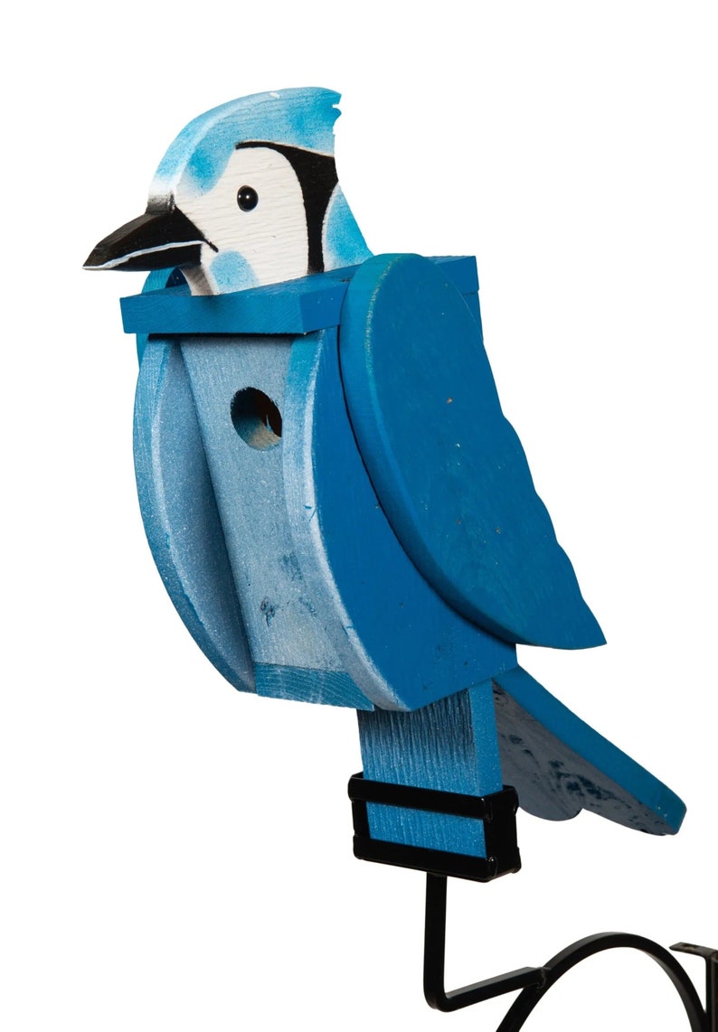 Blue Jay Birdhouse Etsy