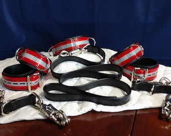 8-Piece Reflective Bondage Set Biothane