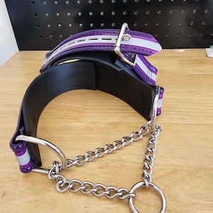 Reflective BDSM Martingale Collar image 1