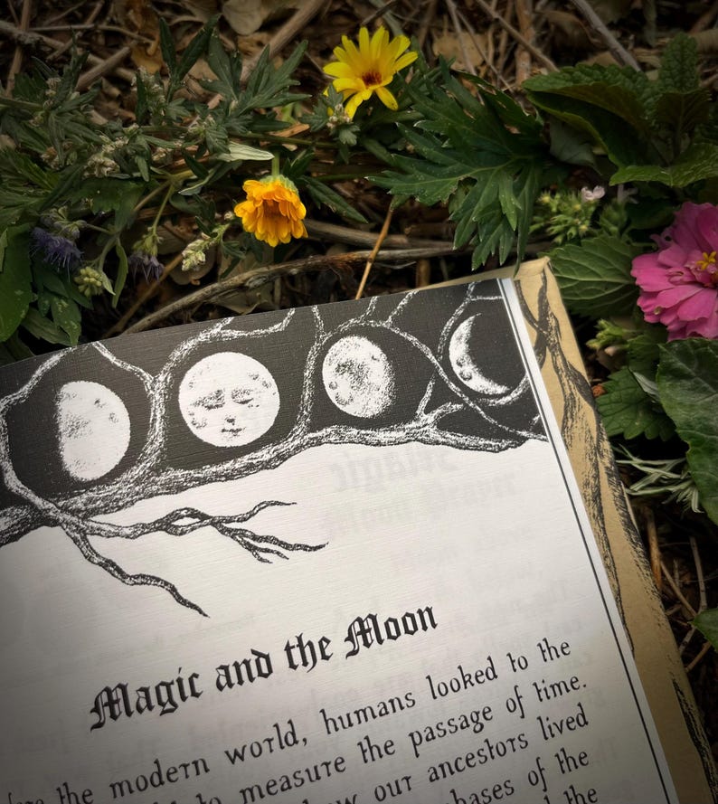 Op de afbeelding: Een boek met de titel "Magic and the Moon" op een witte achtergrond. Het boek is omringd door groene bladeren en gele bloemen. Het boek heeft een zwart-witte illustratie van een tak met vijf manen.