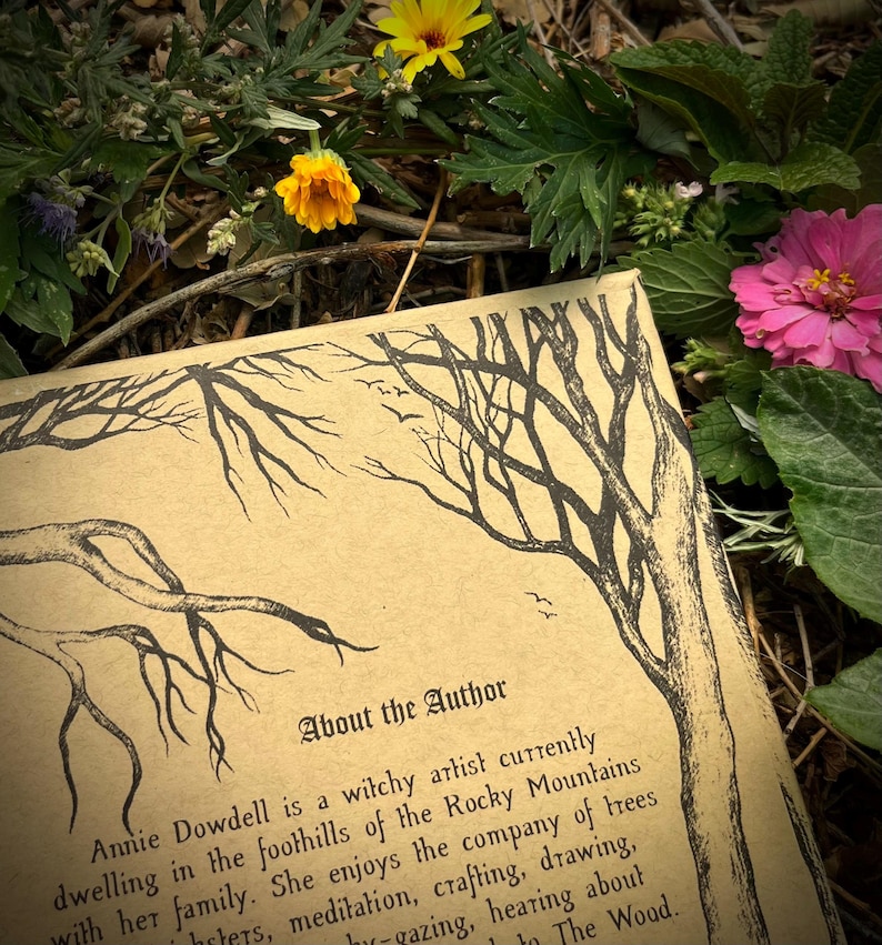 Op de afbeelding: Een close-up van een boekomslag met een zwart-witte illustratie van takken. De tekst "About the Author" is gedrukt in een decoratief lettertype. De boekomslag is bruin en heeft een ruwe textuur.