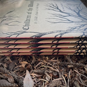 Op de afbeelding: Een stapel van vier boeken met een bruine kaft en zwarte inkt-illustraties. De titel van het boek is "Children of the Wood" en de ondertitel is "A Child's Book of Folk Magic".