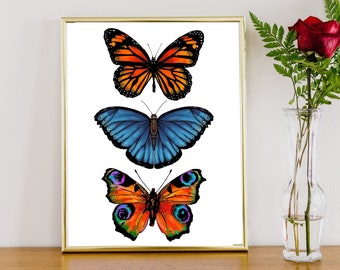 Art mural papillon, poster papillons, impression colorée d'été, décoration de chambre d'enfant, décoration de cuisine bohème