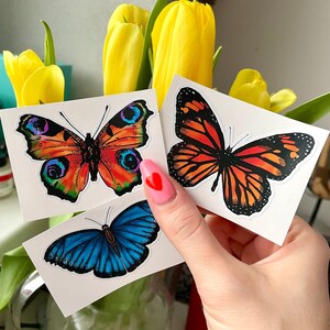 Butterfly Sticker Set: Monarch, Blue, Peacock - Waterproof Vinyl (3 Pack)